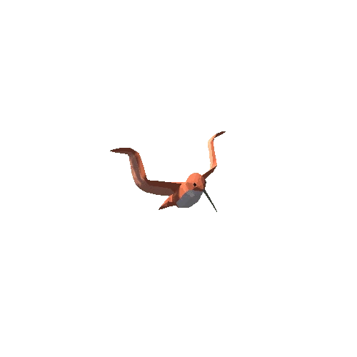 Low Poly Hummingbird 05 Variant